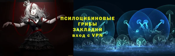 СК Аркадак