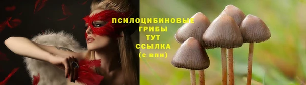 марки lsd Армянск