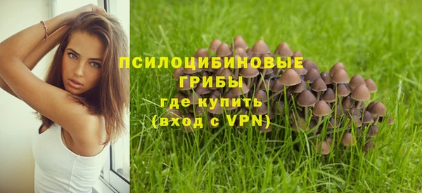 СК Аркадак