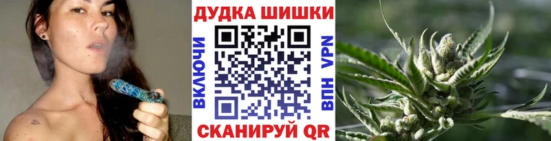 Шишки марихуана AK-47  mega как войти  Сенгилей 